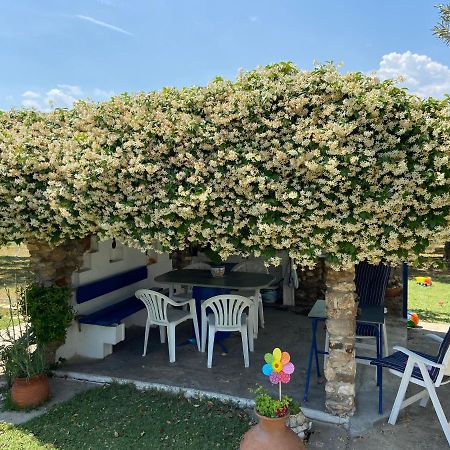 Wine & Olive Studio Jerakiní Kültér fotó